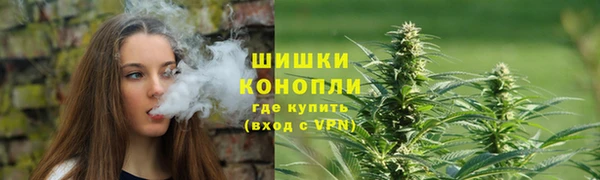 крисы Беломорск