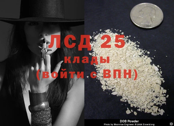 крисы Беломорск