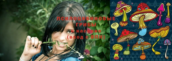 МДМА Белокуриха