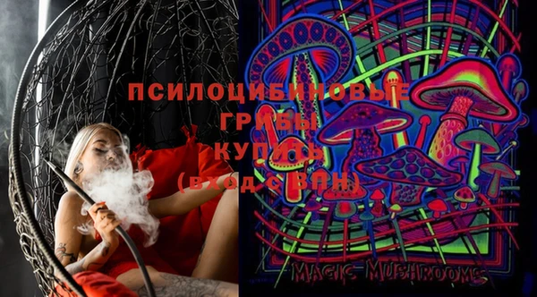 крисы Беломорск