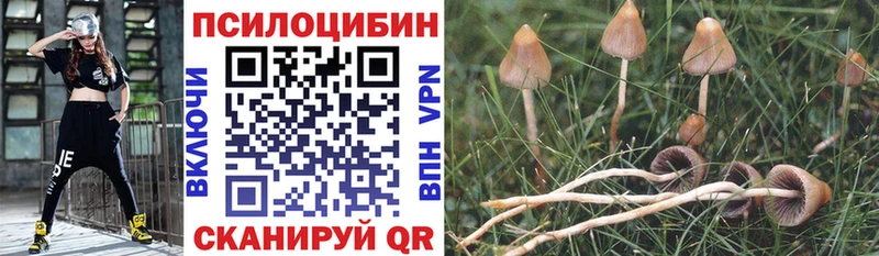 Псилоцибиновые грибы прущие грибы Городище