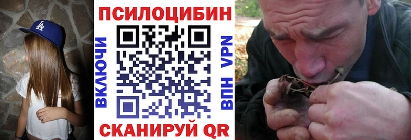 Галлюциногенные грибы Psilocybine cubensis где найти наркотики Городище
